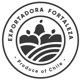 Exportadora Fortaleza